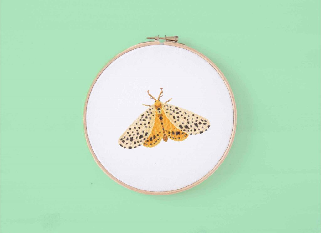 spotted moth cross stitch mockup with green background