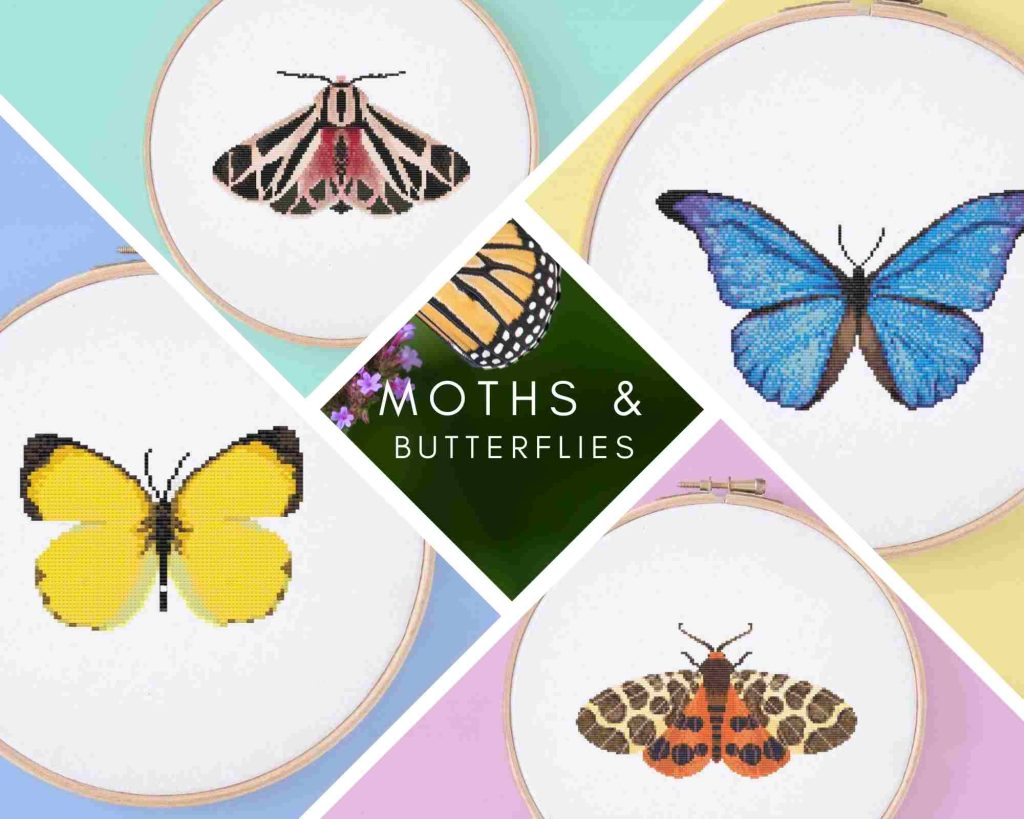 moths and butterflies collection release featuring colorful butterflies and moths